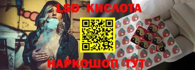СК Новодвинск