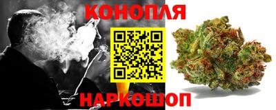 СК Новодвинск