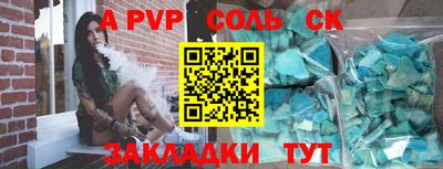 СК Новодвинск
