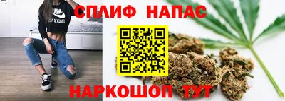 PSILOCYBIN Новозыбков