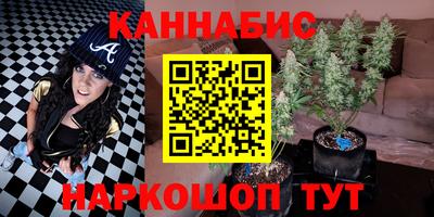 СК Новодвинск
