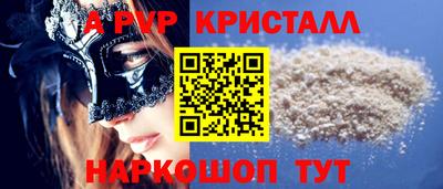 СК Новодвинск
