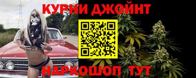 СК Новодвинск