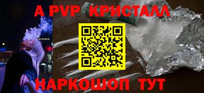 СК Новодвинск