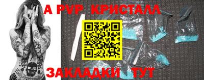 СК Новодвинск
