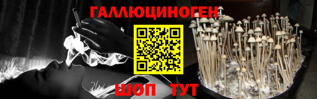 Галлюциногенные грибы ЛСД Рассказово